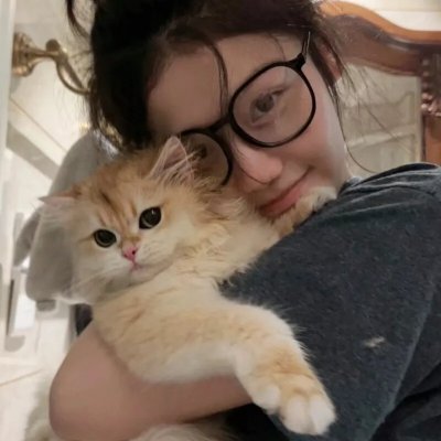 机动战士高达逆A